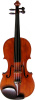 Satriani Advancing Young Professional Violin