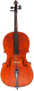 Young Professional Cello